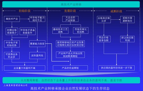 高技术产品企业盈利能力提升案例ⅳ 战略基点的盈利能力提升